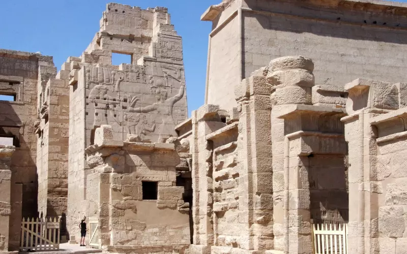 早起，比熬夜更可怕。