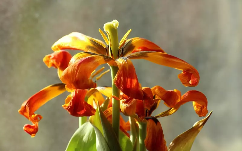 挽回前男友：如何挽回失去的男友，挽回决绝的双鱼男绝招