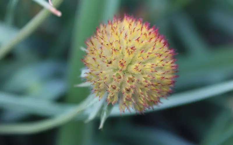 挽回前男友：如何挽回失去的男友，挽回决绝的处女男绝招