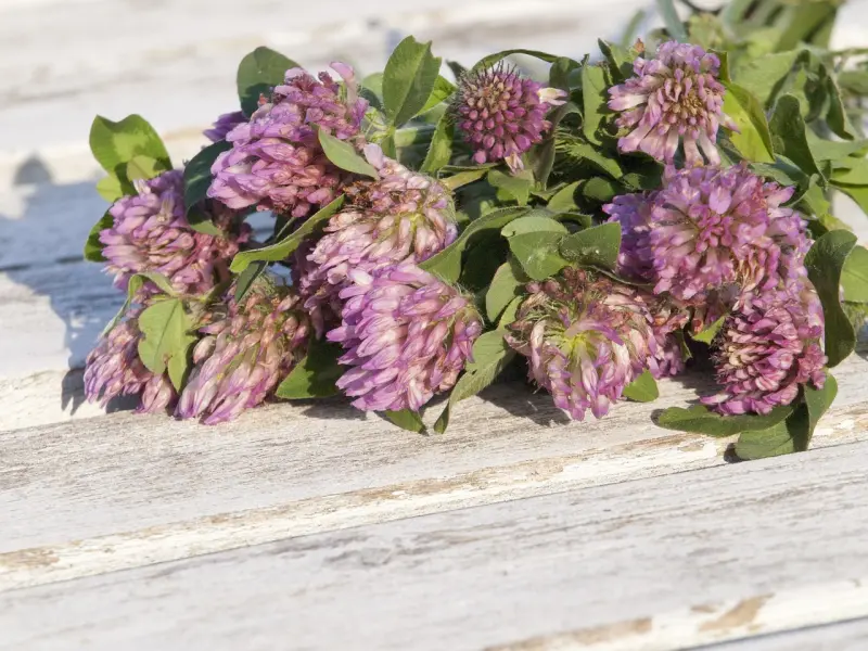 挽回前男友：如何挽回失去的男友，挽回决绝的天蝎男绝招