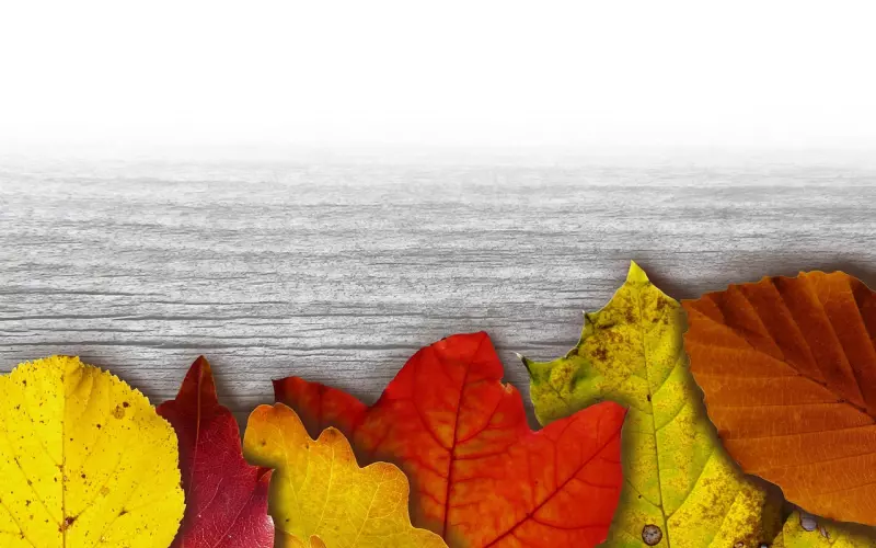 重新追回女友：谨记以下三大准则