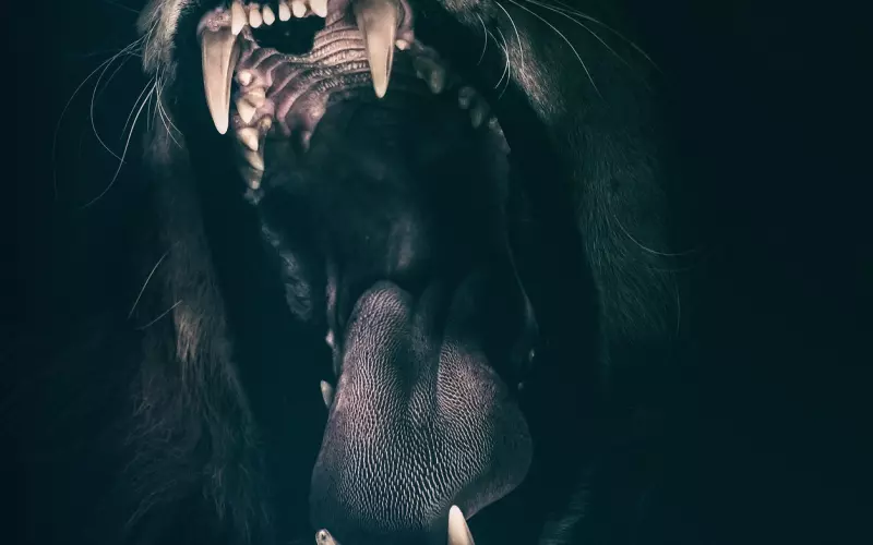 分手后挽回狮子男友：挽回男朋友的正确方法