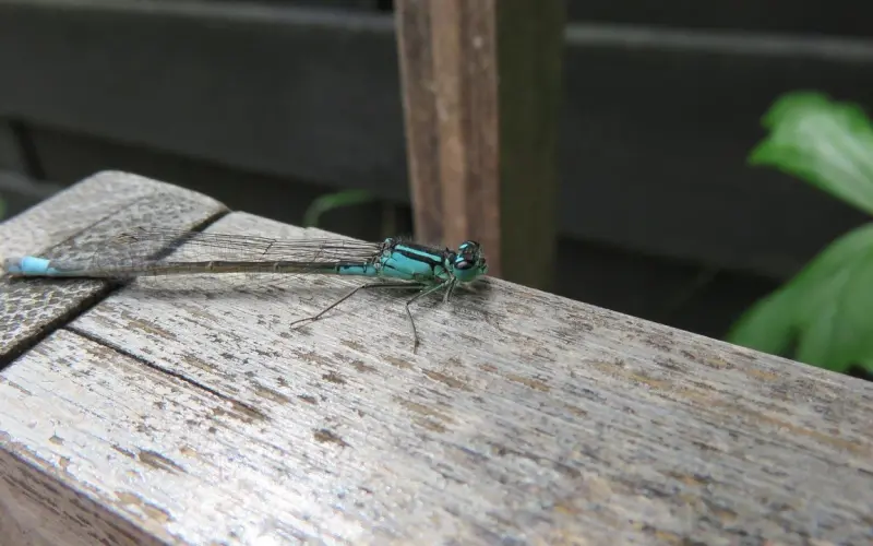 闺女，别嫁太远了（深度好文）