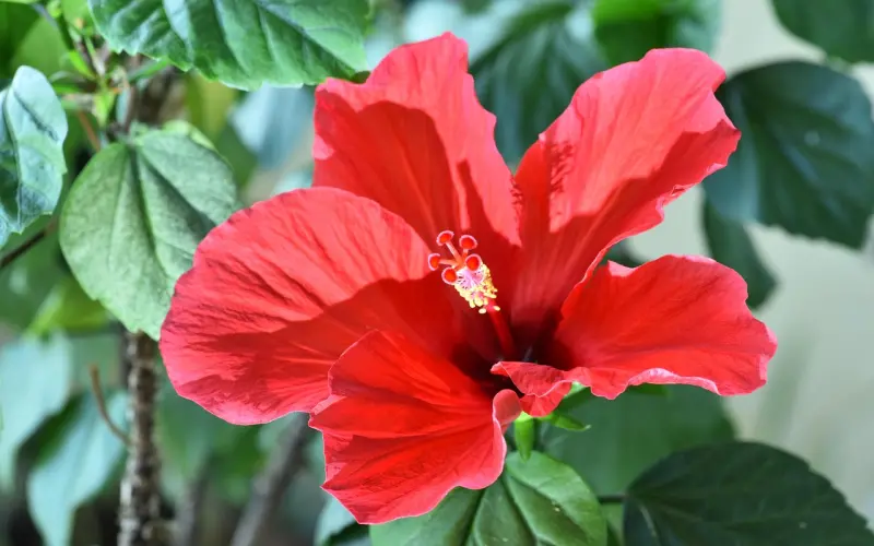 姑娘，谈恋爱并不能改变你的现状