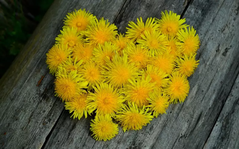 女生恋爱有妙招,三招教你keep住花心男友的心