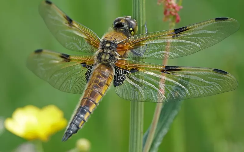 成功挽回前男友的女孩都做到这四点