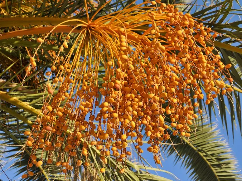 舍+得（值得一看！）