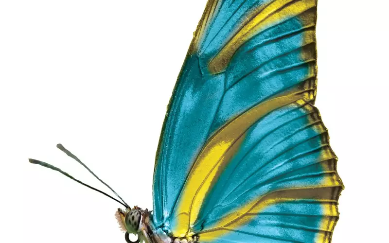 晚安的动态表情图片漂亮好看