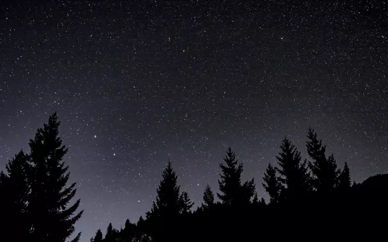 晚安语录正能量 晚安语录励志句子