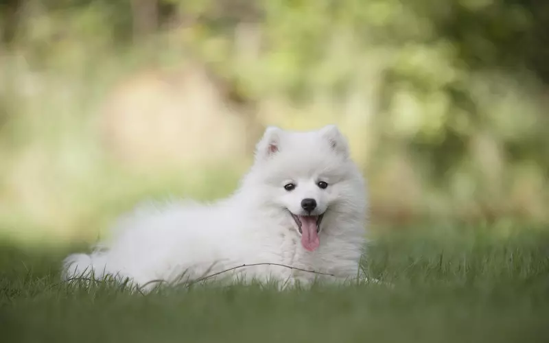 好的感情，从来不是靠忍。