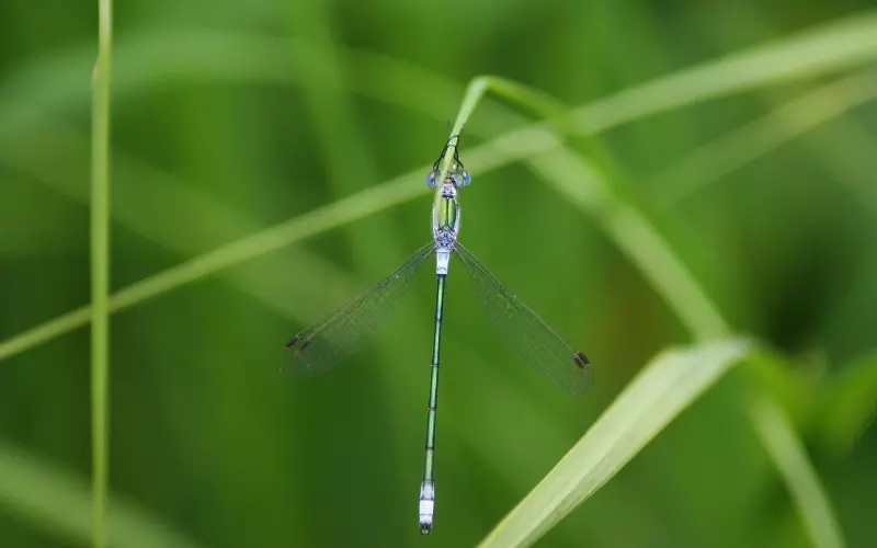 伤感触动心灵的好句子，总有一句让你刻骨铭心！