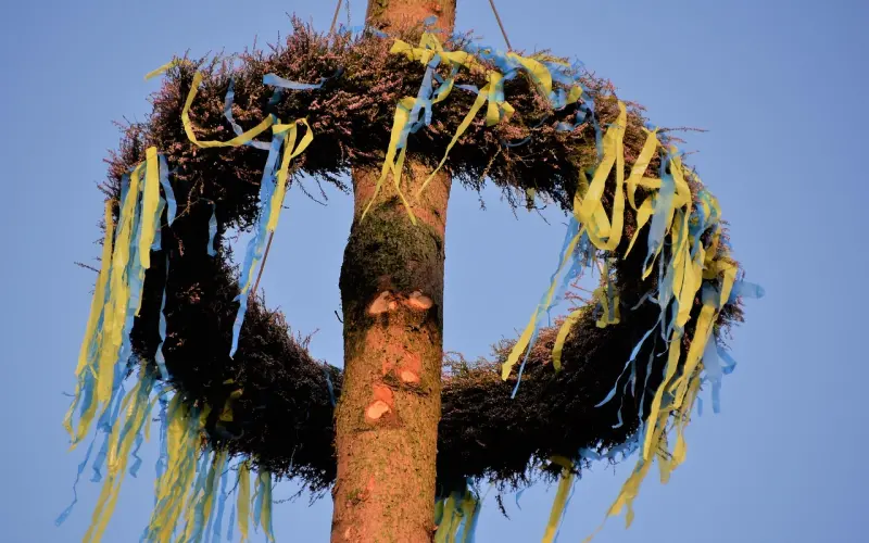 再见了，扶贫式结婚！