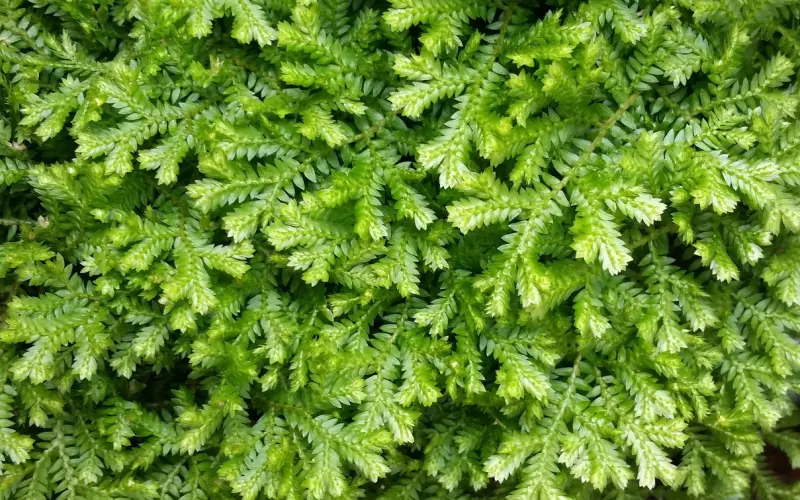 莫名其妙地被分手？