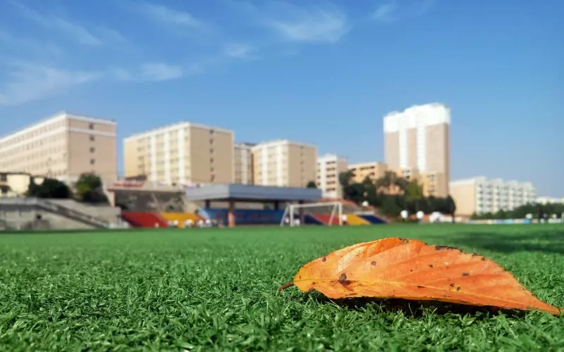 毕业季=分手季？临近毕业，该怎么挽回我们的爱情？