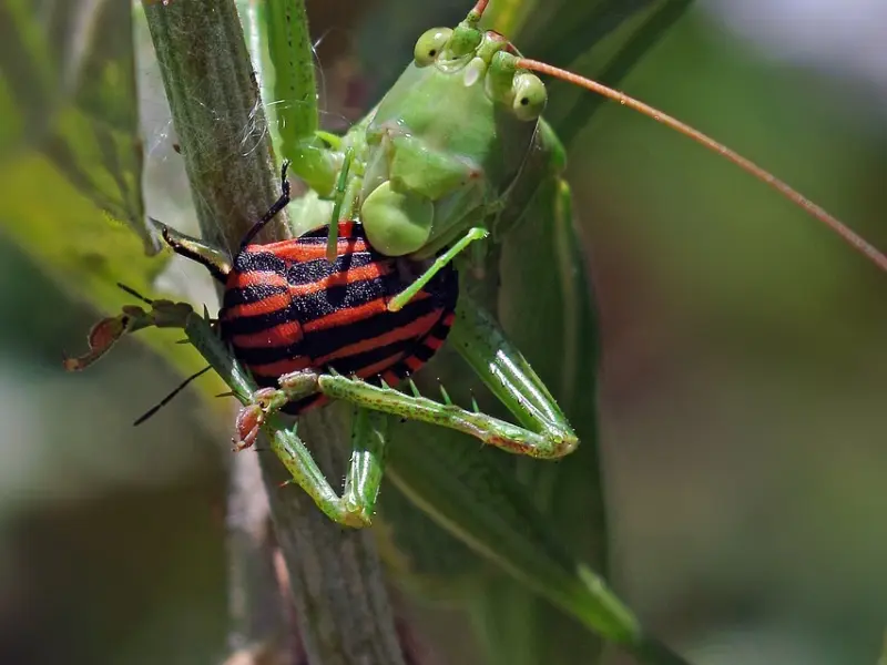把握住这套法则，让异地恋的她死死迷上你