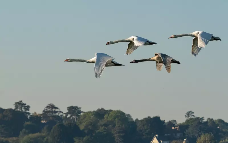 群体认同感：值得你思考下。