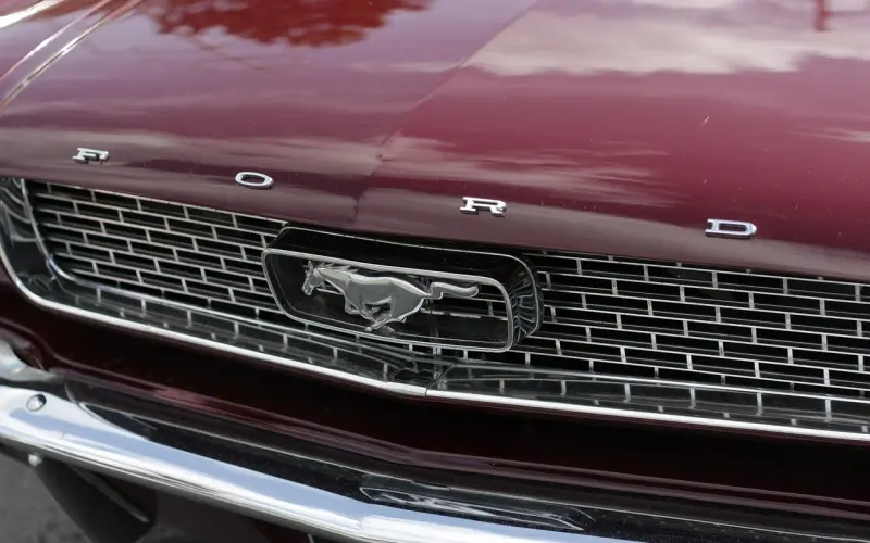 世间的白头偕老，并不只是因为爱情