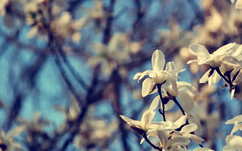 【官微秋裤对对碰】百合姐和10家官V小伙伴送温暖啦！