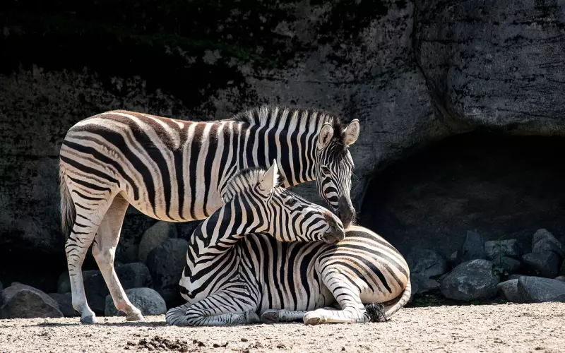 挽回男友指南：有什么办法可以挽回男朋友，成功挽回男友的方法有哪些