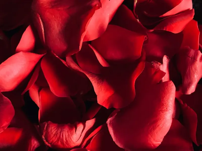 挽回女友指南：怎样挽回最有效，三招让心爱的她回到你身边