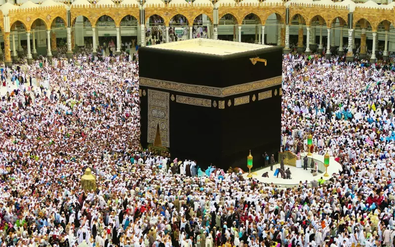 挽回女友指南：三招攻心秘籍，手把手教你如何挽回心爱的她