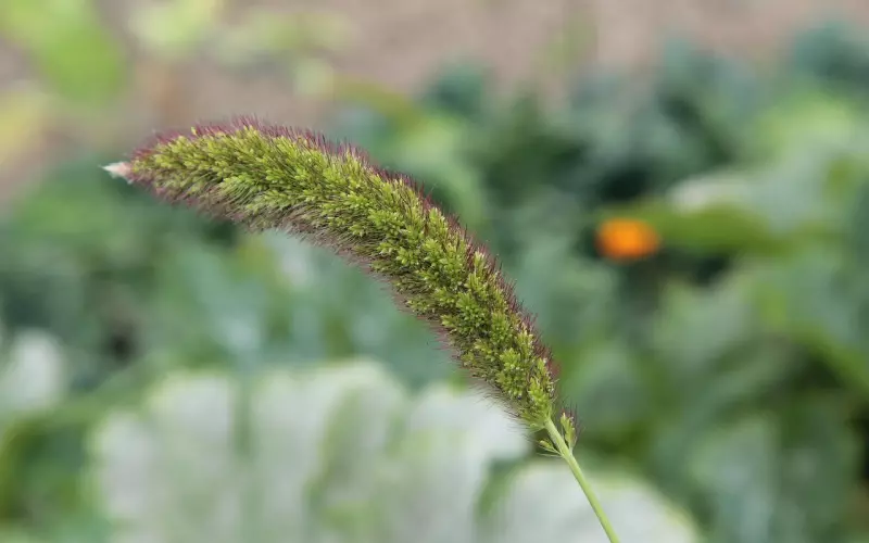 鬼谷子：人生不顺时，谨记这三句话