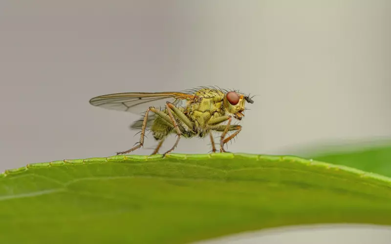 郭京飞接的是武打戏吧