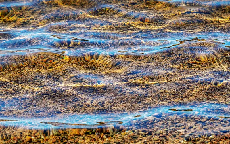 半生已过 ，学会沉默