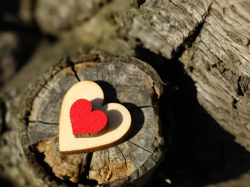 三心两意才是最可怕的