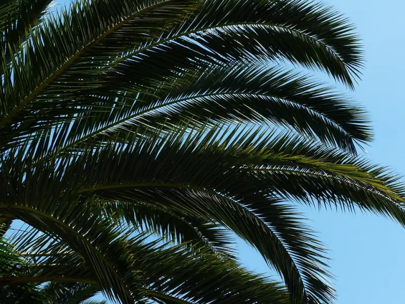 半月急速TD丨如何让175校园女神主动倒追？