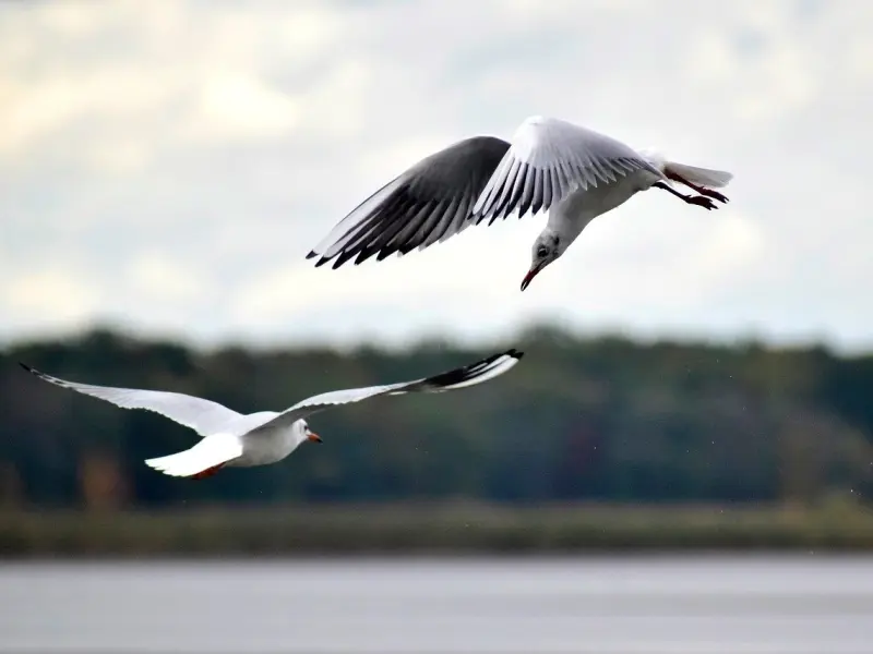 韩庚卢靖姗完婚：对的时间遇到对的人有多爽！