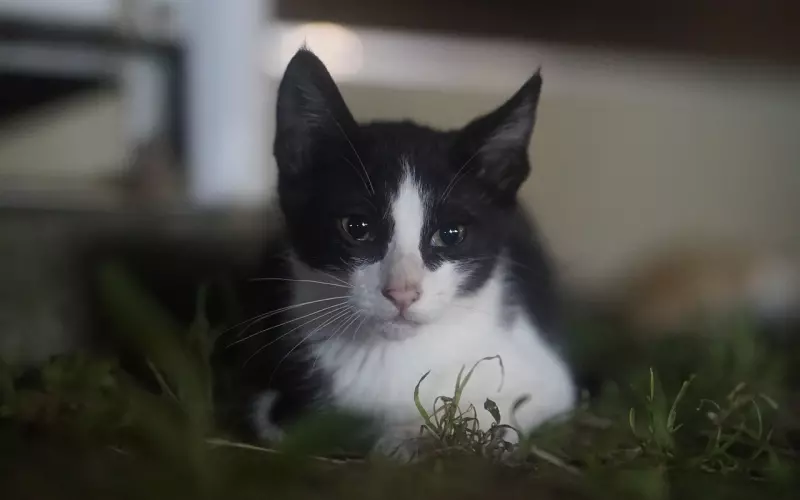 幸福一直在身边，只是你还没有发现