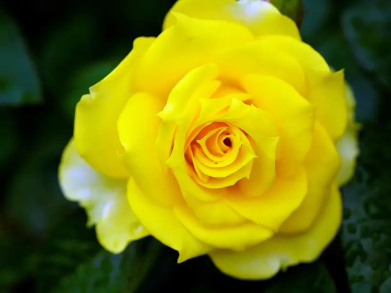 幸福与否，与这三点无关，聪明的女人挽回爱情是为了争取幸福