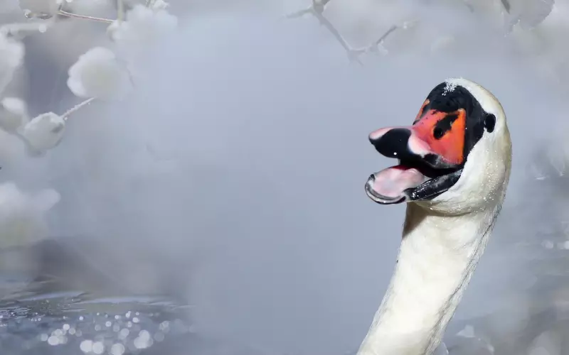 心态阳光，快乐一生！人这一辈子，活的是开心，活的是心态！