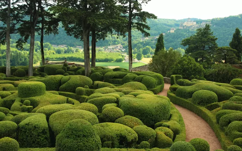 你是否也有过的失恋后遗症