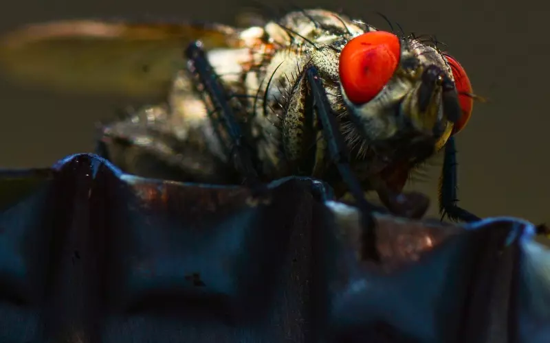 有没有分手很久后复合的情况？怎么做才能顺利复合？