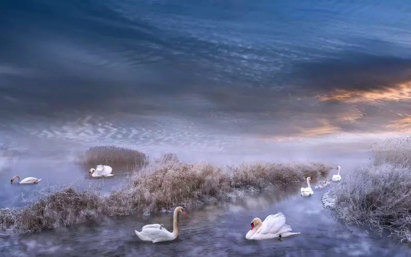 有没有分手很久后复合的情况？怎么做才能顺利复合？