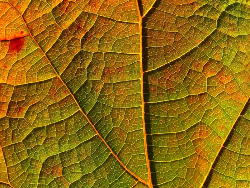 恋爱中犯下的错，你是不是中招了...