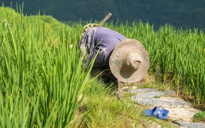 挽回男友的话，你学会了吗？