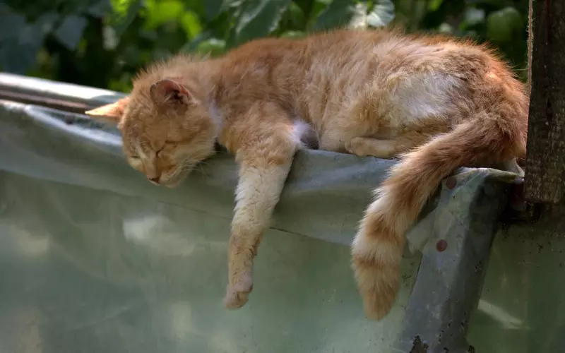 挽回男友的话语技巧你学会了吗