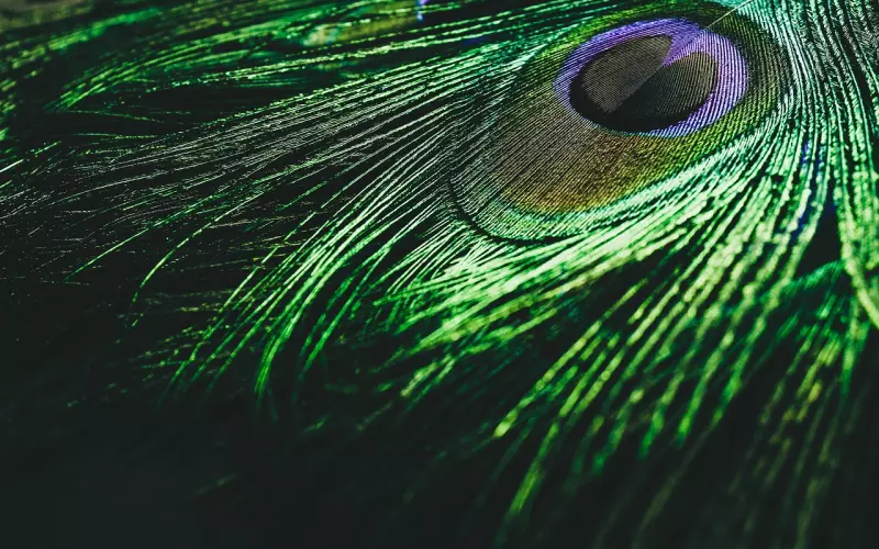 你是否在分手挽回中踩了这些雷区？