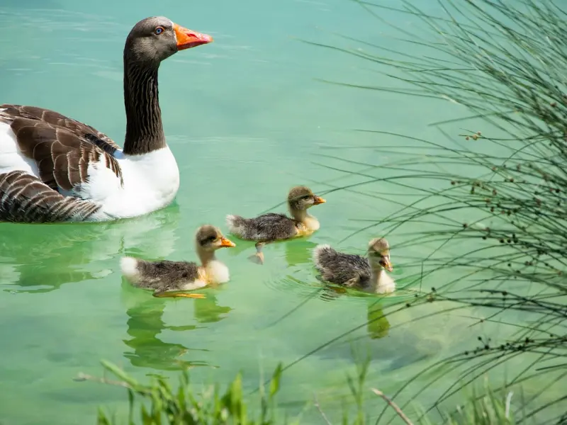 脾气差，其实就是自私！