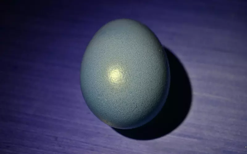 分手后情绪崩溃了？教你三招淡定挽回爱情！