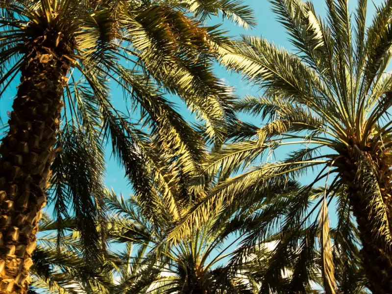 他和小三都有了孩子，我还能挽回吗？