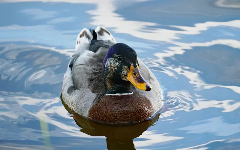 “他和他妈一起精神虐待我，甚至情感勒索，我要精神崩溃了”