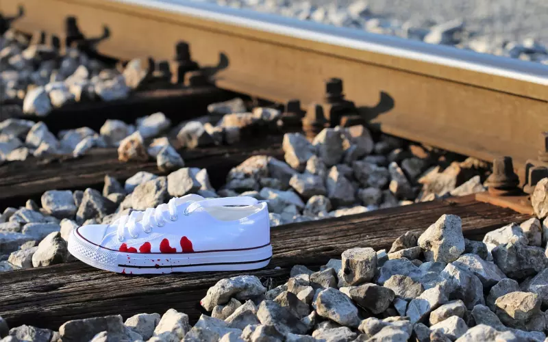 他和我都是有家庭的人，但是我们相遇而又相爱了