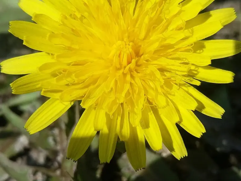 他还不懂，还是不懂。