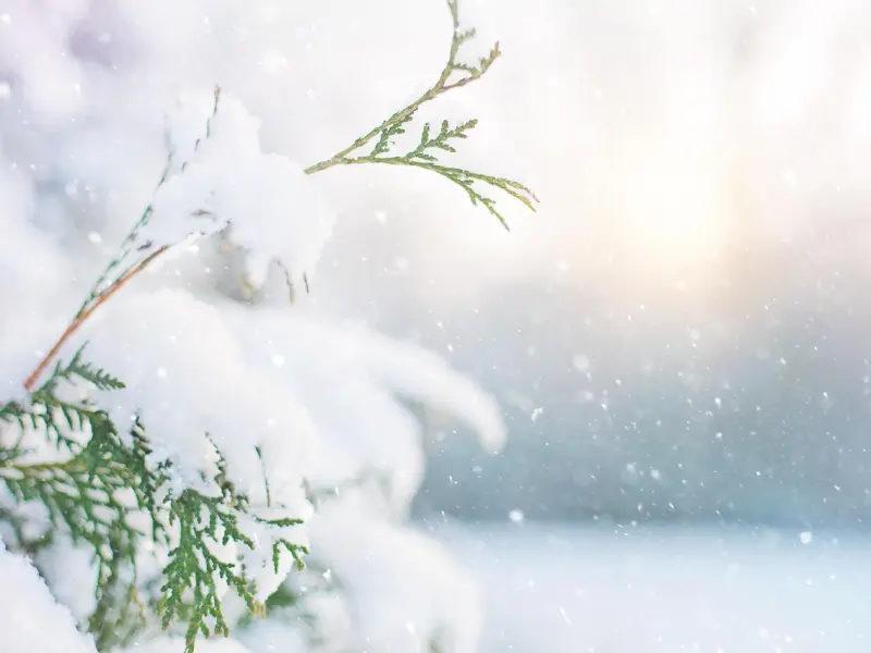 “他吃我的喝我的，他真的爱我吗？”