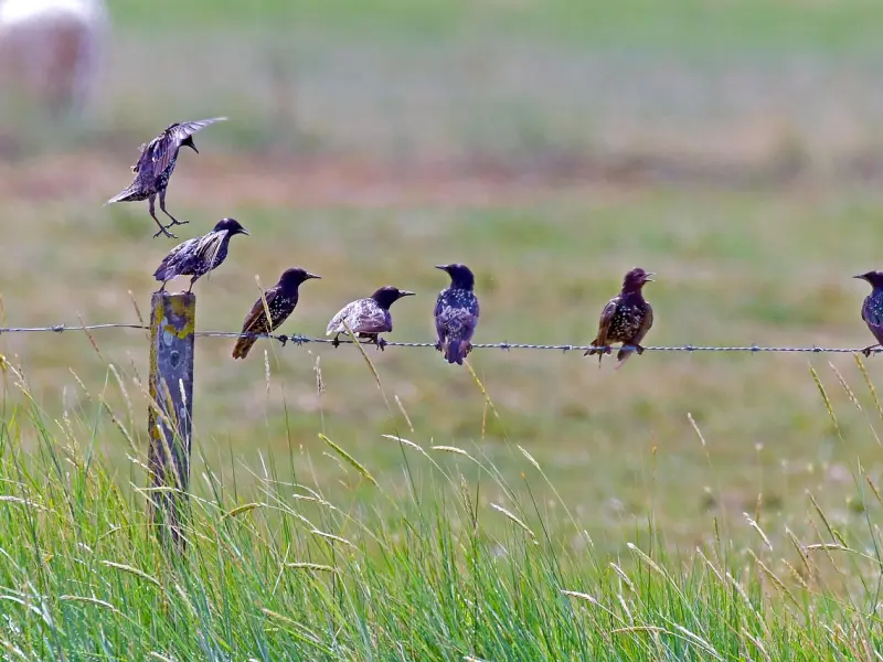 TA有新欢了，可是还想争取怎么做？