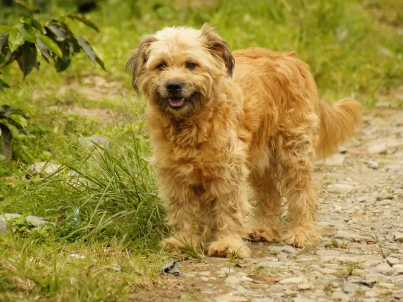 “他对我彻底死心了，我该怎么做才能挽回这段感情？”